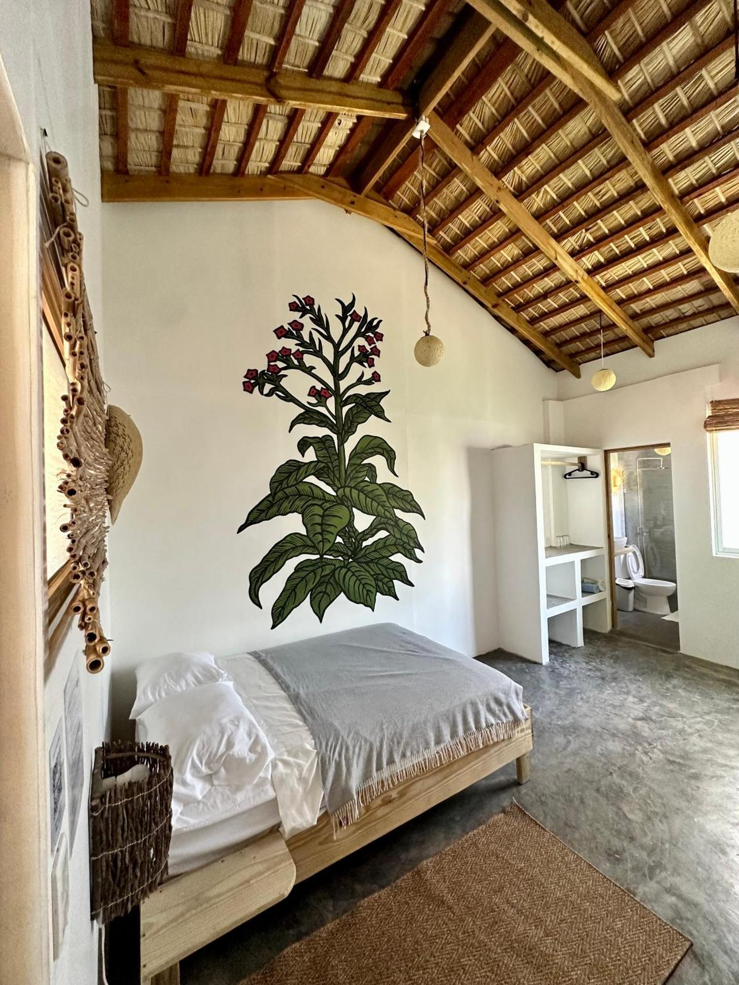Kite House Cabarete Across Kite Beach Kültér fotó